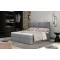Boxspringbett Clivia M (160x200)