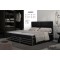 Boxspringbett Clivia M (160x200)