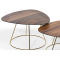 Couchtisch Botanic-Set