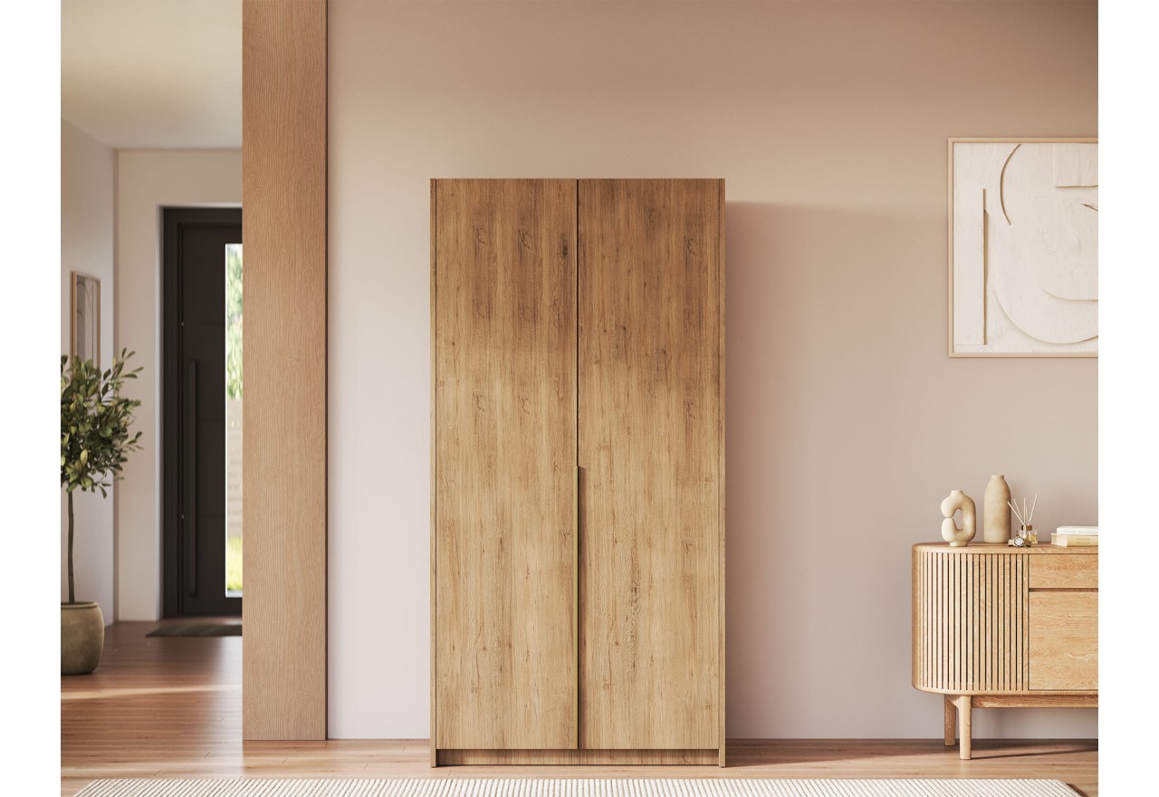 Kleiderschrank Loft Lux (100cm)