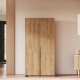 Kleiderschrank Loft Lux (100cm)