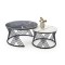 Couchtisch Set Flamingo  