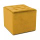Hocker Lori Hocker Lori