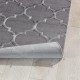 Teppich  Benicario Premium