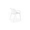 Stuhl W491 Stuhl W491