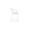 Stuhl W491 Stuhl W491