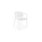 Stuhl W491 Stuhl W491