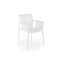 Stuhl K492 Stuhl K492