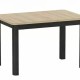 Esstisch Oskar (80x120x200)