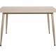 Esstisch Rion (70x130)