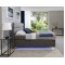 Boxspringbett  Grosso  L (180x200)