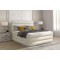 Boxspringbett Nizze M (160x200)