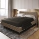 Bett Belona M (160x200)