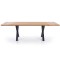 Esstisch Xavier (90x160-250)